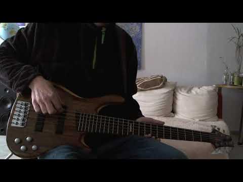Weller 6-SAITER AKTIV E-BASS* WALNUSS-AHORN SANDWICH