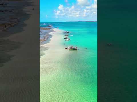 Japaratinga - Alagoas #shortvideo