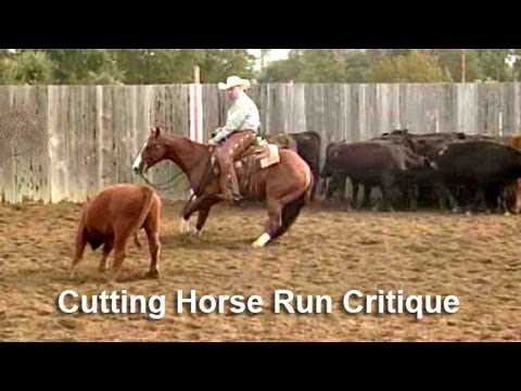 Cutting Horse - NCHA Derby Class - Run Critique