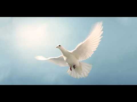 Fluye Espíritu Santo fluye