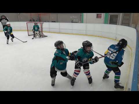 2021 03 07  U10   VSD Párducok - White Sharks