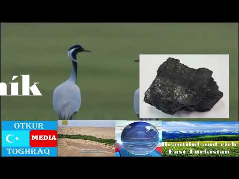 Úvod Východní Turkistán ll otkur toghraq
