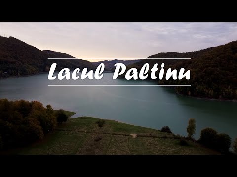 Lacul Paltinu, județul Prahova | România  #visitromania #romania