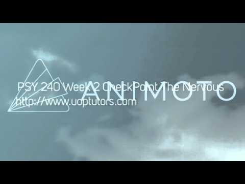 PSY 240 Week 2 CheckPoint The Nervous System