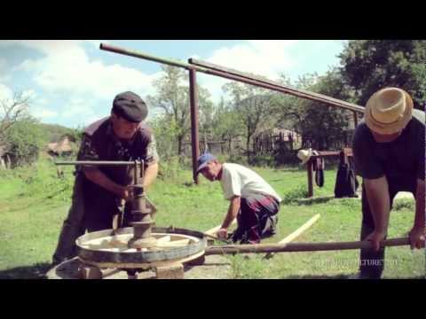 POŞAGA: the authentic Transylvanian village community (ENG)