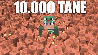 Minecraft Smp'yi BAKIR GOLEMLE DOLDURDUM