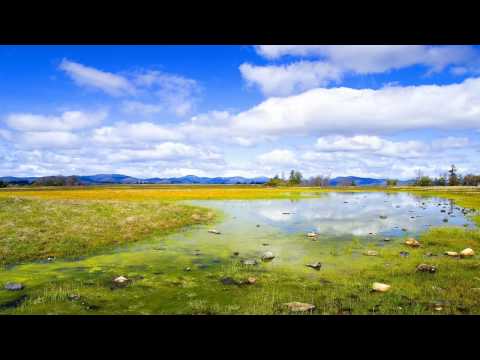 Luke Warner & Mat Lock vs Armin van Buuren feat Justine Suissa - Deep Psychosis (Daniel Kandi RMX)