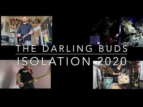 ISOLATION 2020 The Darling Buds
