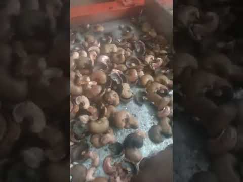 Semi auto cashew cutting machine