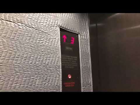 Brand New Elevators at John Tate Hall (old Tate Lab) UMN