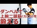 ダンベルを使って上腕二頭筋を鍛える方法と基本バリエーション/筋トレ実践講座