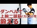 ダンベルを使って上腕二頭筋を鍛える方法と基本バリエーション／筋トレ実践講座