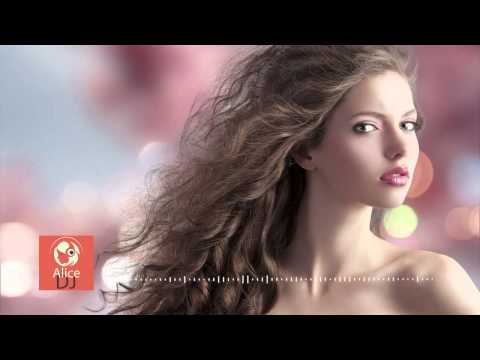 Cayman Cline X Fortune Family   Save The Day