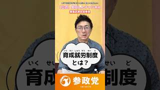 【参政党】「育成就労制度」ってなんですか？私たちが改めて知っておくべき課題や仕組みを分かりやすく解説【安田しん】