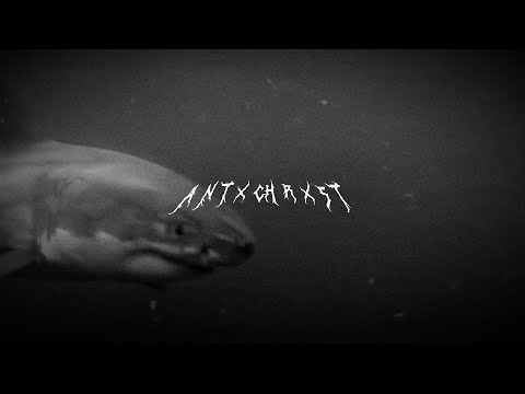 CHXEU x ZERKEY // MEGALODON