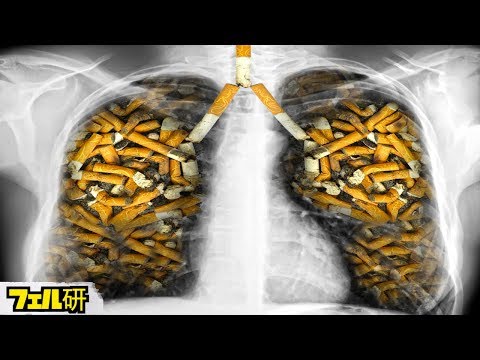 禁煙して20分で体は回復する