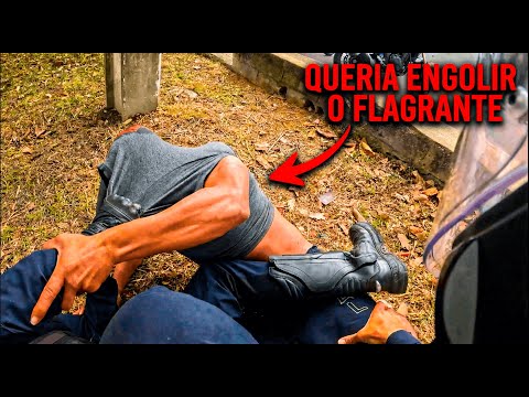 Vídeo Orgânico 5