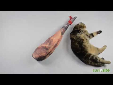 download lagu mp3 mp4 Cojin Jamon, download lagu Cojin Jamon gratis, unduh video klip Cojin Jamon