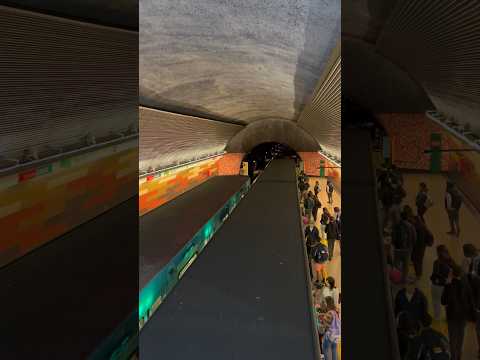 Metro de Santiago | Par de NS-74 - Tren Ruta Verde en San Pablo