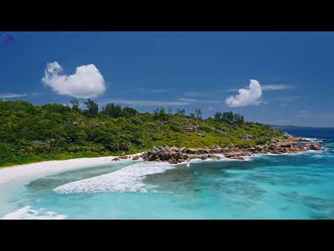 JT Company feat  Barbie--Wake me tonight  (DJ's@Work Remix)