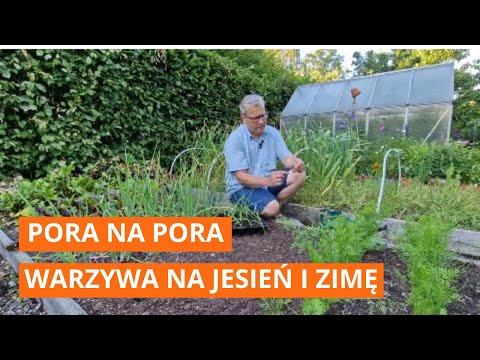 Pora na pora. Sadzonki pora na jesień i zimę