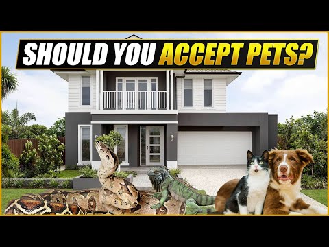 Should You Accept Pets in Your Rental Properties?