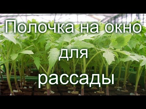 Удобная полочка на окно для рассады.