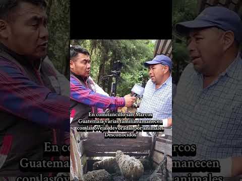 Aterrador lo está sucediendo en san Marcos #guatemala #chapin #viral #parati
