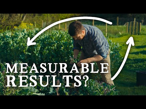 Using Grass to Boost Nutrition | Huw's Garden Diaries