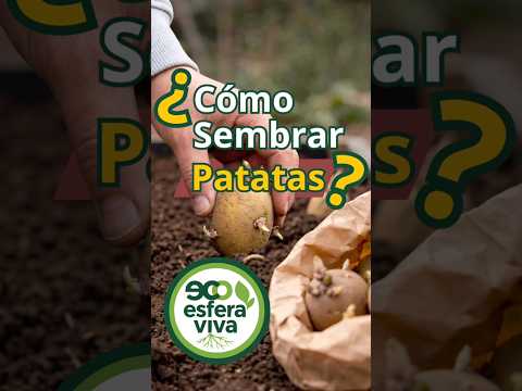 Grow Potatoes in 1 Min: Easy Container Gardening Guide