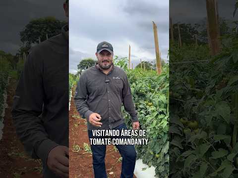 Direto de Alexânia/GO! 📍