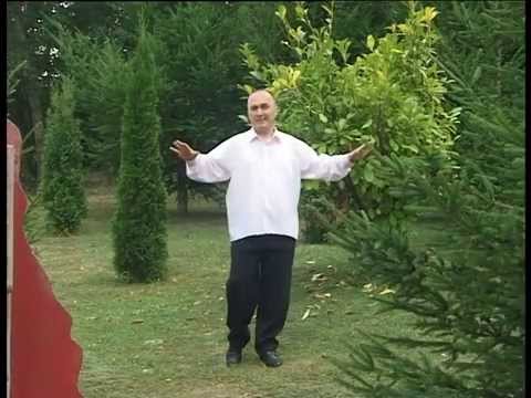 SASKO SAVEVSKI - KNIGA DA E NEBOTO