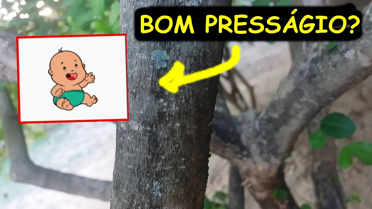 SONHAR COM CRIANÇA CAINDO DE ALGUM LUGAR AVISTAR CRIANÇAS EM UM SONHO