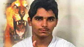 O Quão Perigoso Um Leão Realmente é?