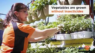 The Fleet Farm Garden Center Is Now Open (30 sec)
