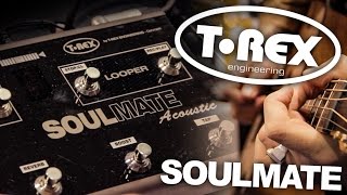 Video thumbnail for Strings Direct TV | T-Rex Soulmate Acoustic Guitar Multi-FX Pedal by stringsdirectTV