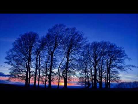 Meditação Guiada - Cura Enquanto Dorme! Excelente Meditação Guiada com Louise Hay