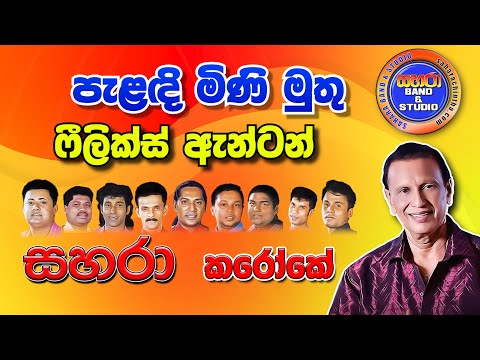 Palada Minimuthu - Felix Anton (Karaoke)