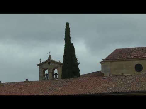 El Cipres de Silos - Poesía