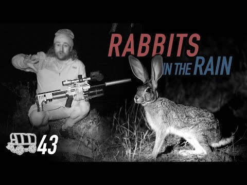 Airgun Hare Hunting with Thermal: The Oxwagon Diaries, pt.43 - "Rabbits in the Rain"