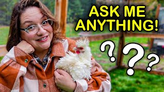 Your Backyard Chicken Questions Answered by a REAL Educator