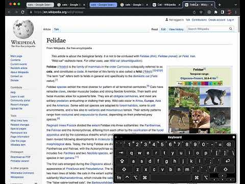 Item video thumbnail