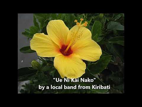 "Ue Ni Kai Nako" by a local band from Kiribati