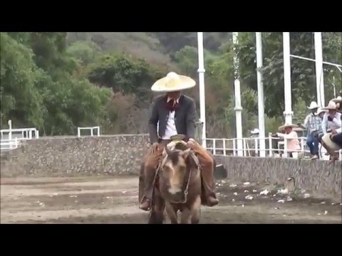 2° Campeonato M  Rafael Cardenas CALAS DE CABALLOS