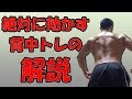 【絶対に効く】自重背中トレーニングの解説!