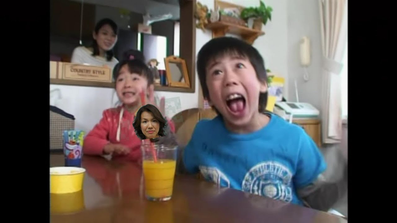 豊田真由子がハッピーセットのおもちゃになったそうですｗ