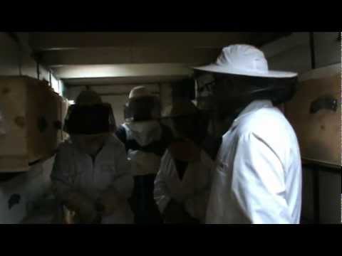 3. Apicultura practica -  Discutie sinteza cu ucenicii mei despre cunostintele acumulate 3/4