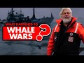 What Happened To Whale Wars Why It Get Canceled