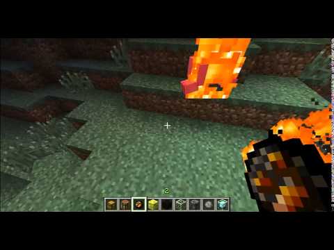 minecraft. porchetta