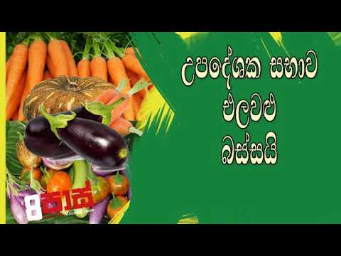 NETH FM 8 Pass Jokes 2019.12.26 - උපදේශක සභාව එලවළු බස්සයි